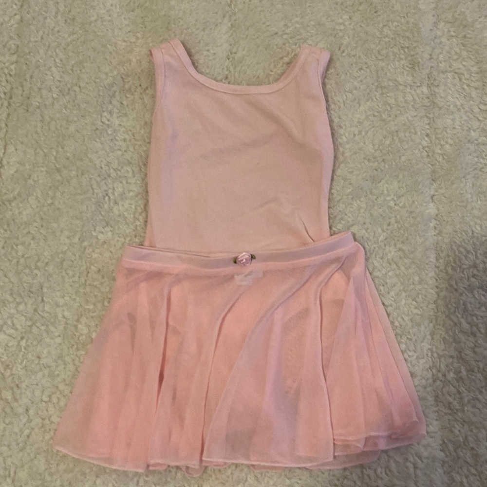 Little Girls Danskin Now Leotard and Skirt